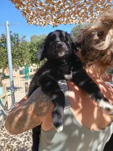Tilly