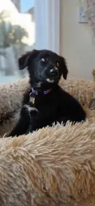 Tilly first day 5