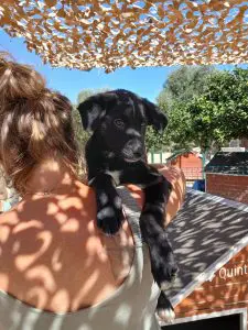 Timmy
