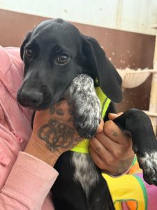 Emilio coloured coat