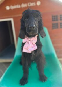 WhatsApp Image 2026 02 25 at 07.27.58