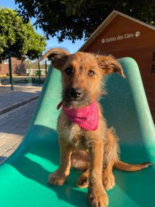 WhatsApp Image 2026 03 27 at 17.54.13