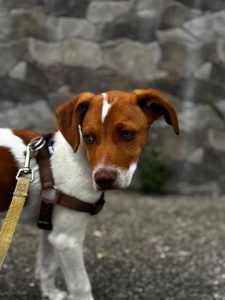 WhatsApp Image 2026 04 23 at 09.43.18