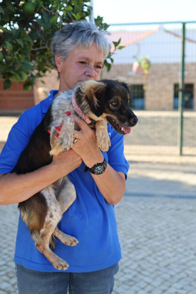 tri coloured youg dog being held by Michelle a cofounder of the charity